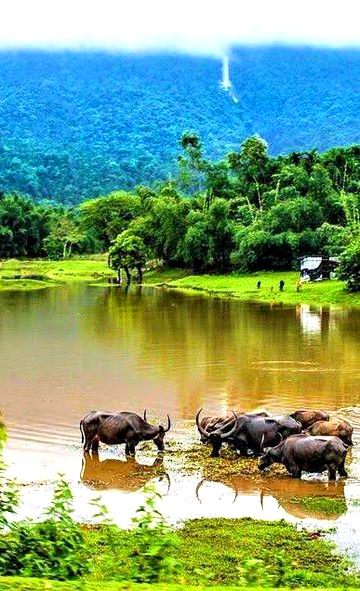 Beautiful Nature image