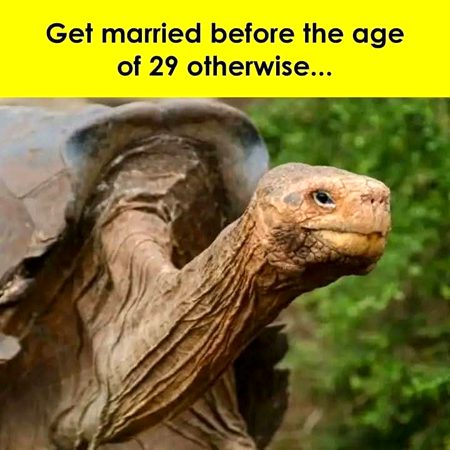 Absolutely Right 😜