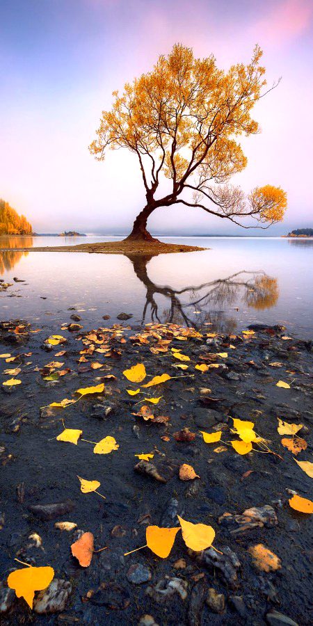 Beautiful Nature image