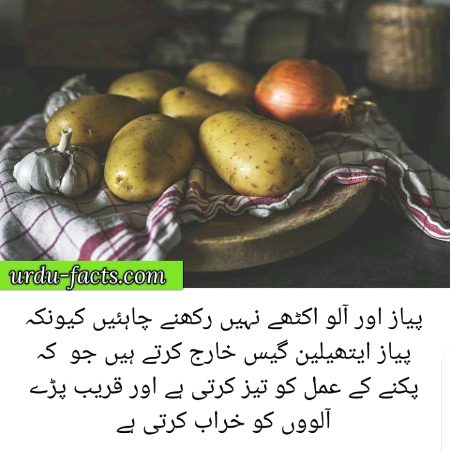 Damadam.Pk