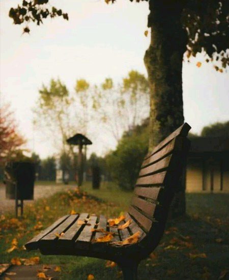 ایسا نہیں کہ بن ترے ٹھہری رہی حیات
لیکن کٹی ھے دل کو مرے کاٹتے ہوئے۔
#M@hi 🥀