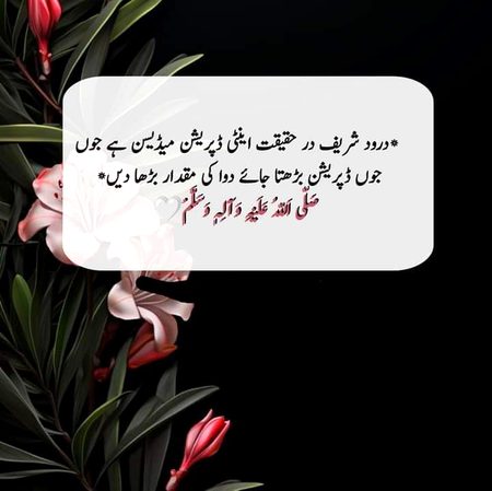 Islamic Quotes image