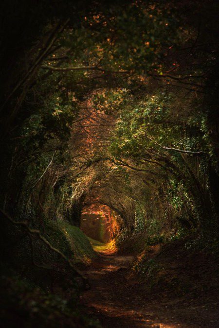 Beautiful Nature image