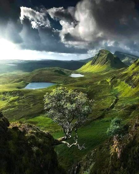 BEAUTIFUL NATURE