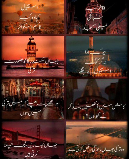 Romantic Novels image