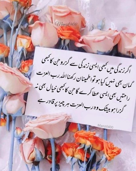 Beshak 🌺🌺