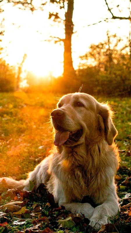 Beautiful Nature image