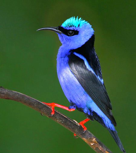 Beautiful Nature image
