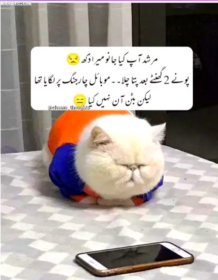 Jokes image