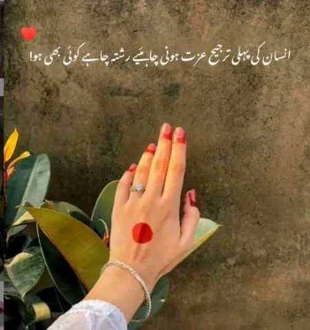 👍👍🌟💯✨👈