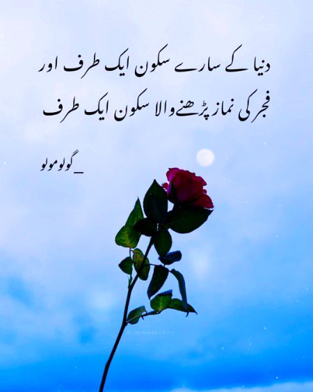 Islamic Quotes image