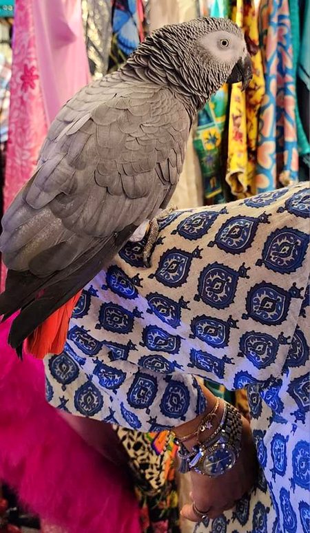 Beautiful Nature image