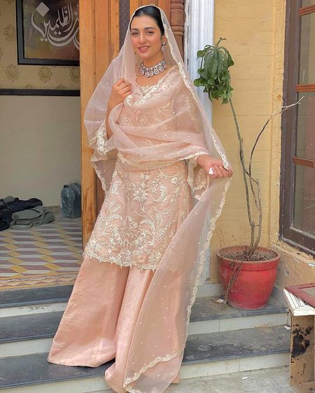 Pakistani Celebs image