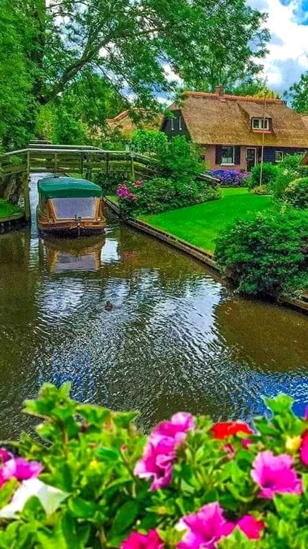 Beautiful Nature image