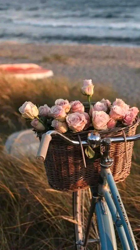 Beautiful Nature image