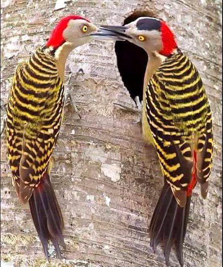 Beautiful Nature image