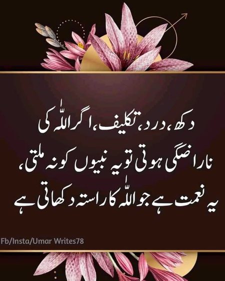 Islamic Quotes image