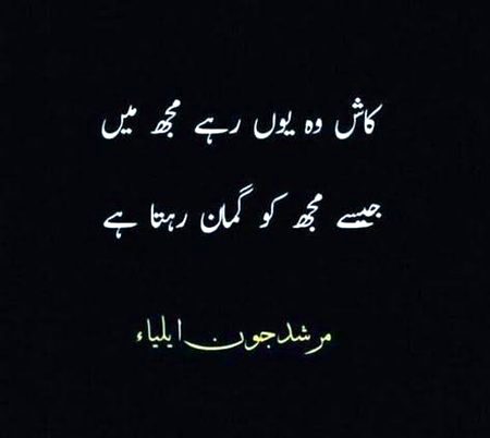 ہم کو ان سے وفاکی ہے امید جو نہیں جانتے وفاکیاہے۔