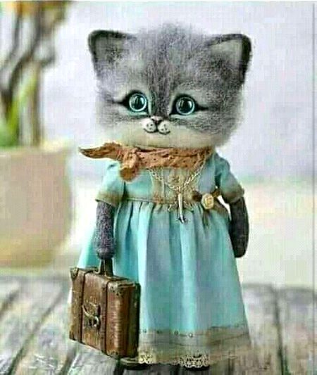 میں  دمادم چھوڑ کر جارہی ہوں .😒کوئی روک لے مجھے 😞