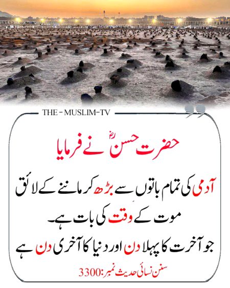 Motivational Quotes image