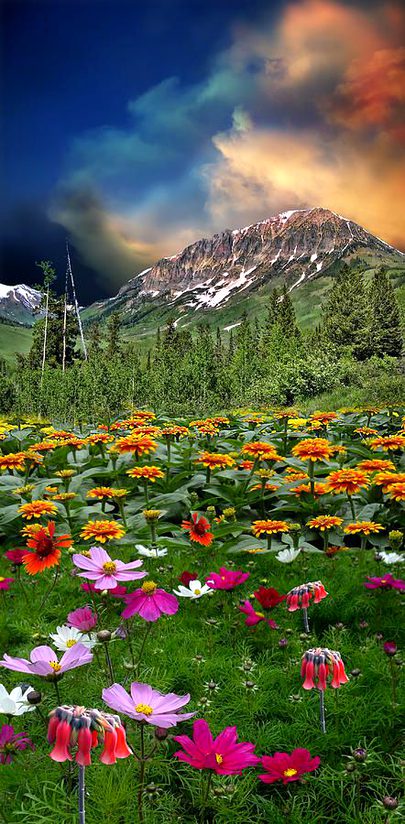 Beautiful Nature image