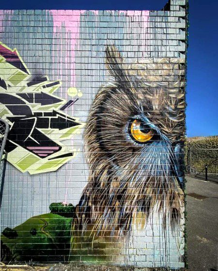 Street Art image