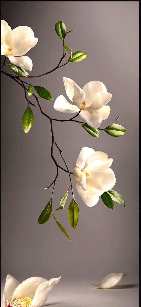 Beautiful Nature image