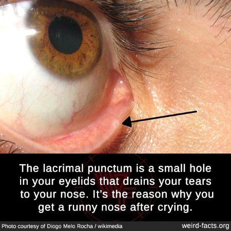 Interesting Posts image