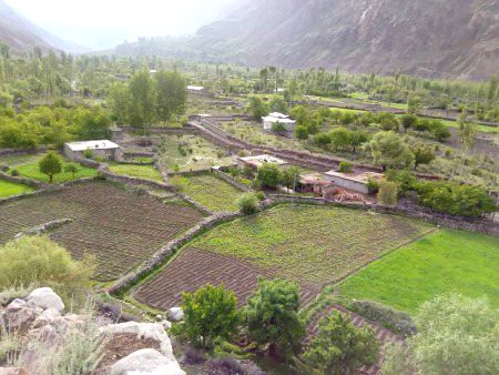 Beautiful Nature image