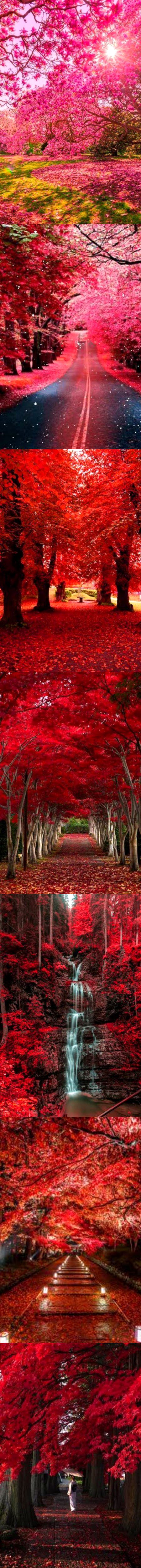 Beautiful Nature image