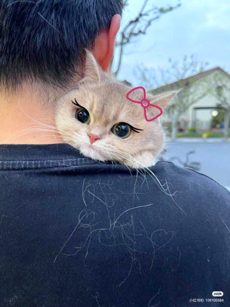 mini me on baba's shoulder👉👈😔