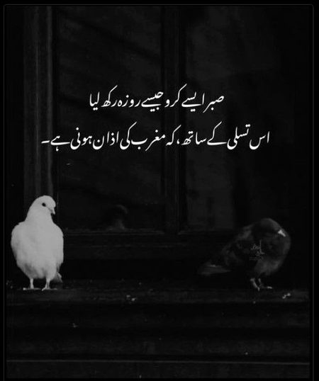 Life Advice image