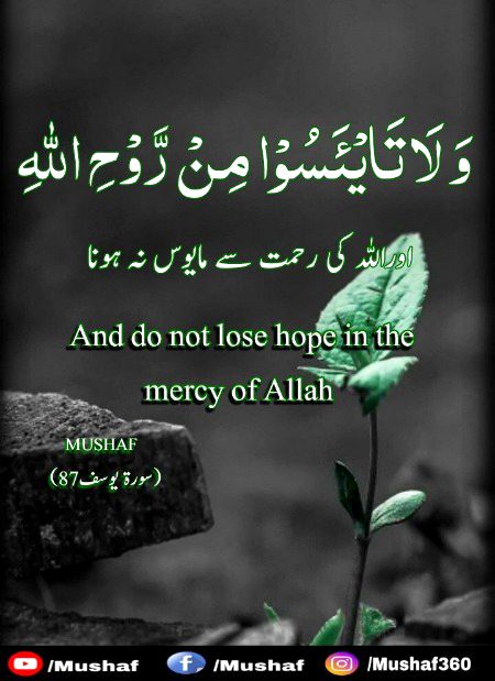 Islamic Quotes image