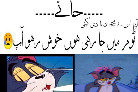 واہ جیری واہ کیا اندزے بدعا ہے