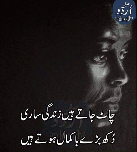 no caption