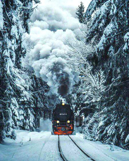 Beautiful Nature image