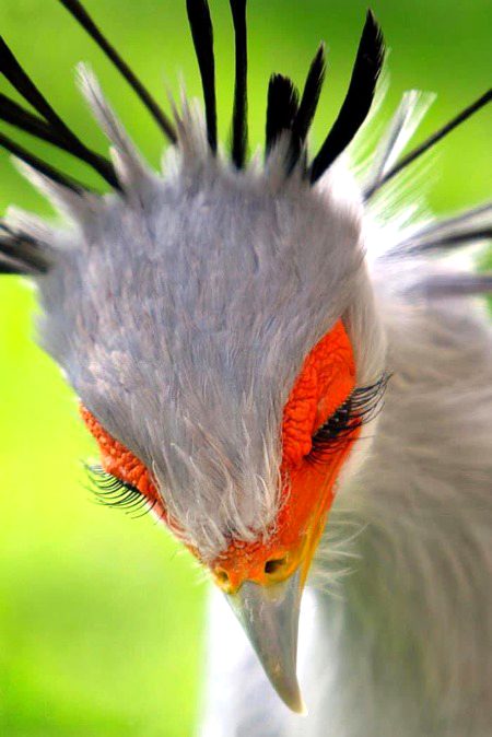Beautiful Nature image