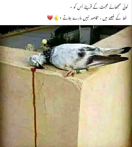 Sad Poetry image