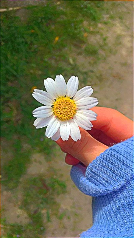 Beautiful Nature image