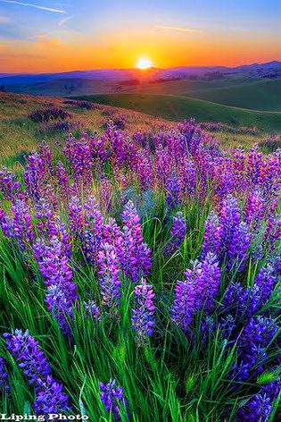 Beautiful Nature image