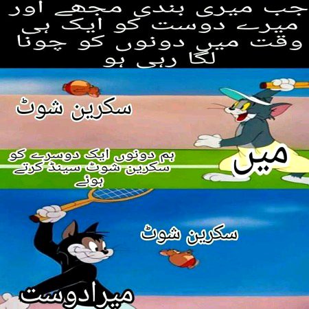 Memes & Satire image