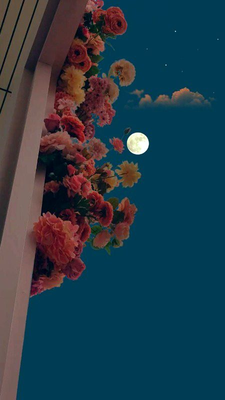 Beautiful Nature image