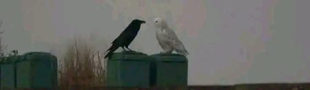 مجھ سے ناراض رہو، لیکن اسے دوسروں تک نہ پھیلاؤ، میری عزت کا خیال رکھو
.g5