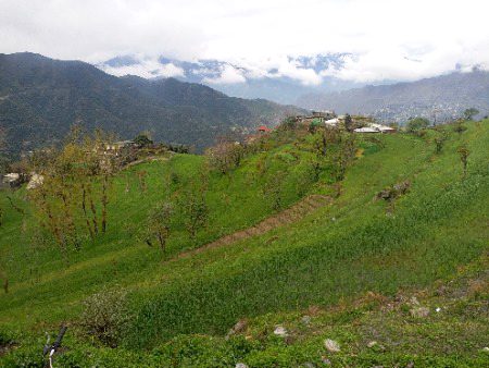 Right now from school