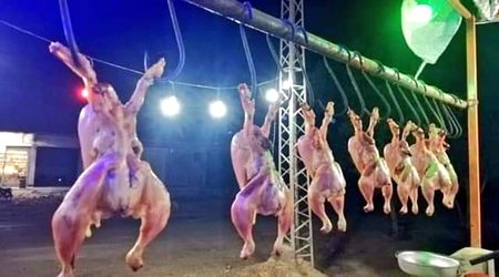 Anday na denay k jurm mn 7 murghiyon ko saza - e - moat
