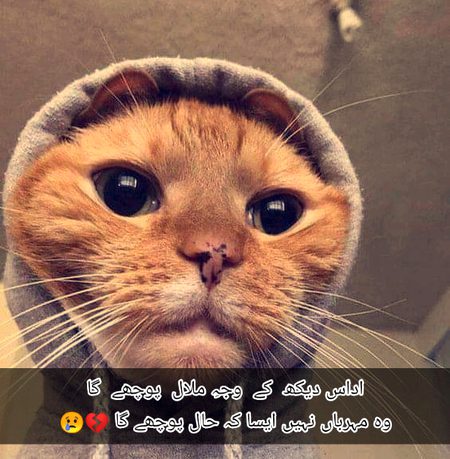 Sad Poetry image