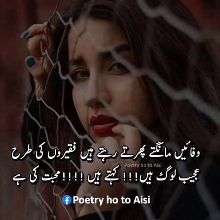 Ajeeb loog hain.🥀
