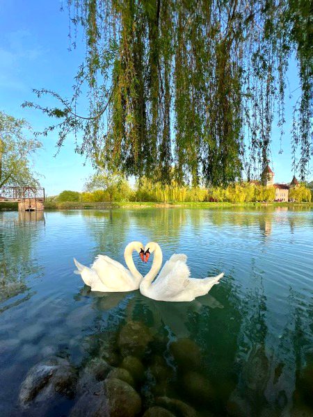 Beautiful Nature image
