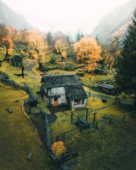 Beautiful Nature image