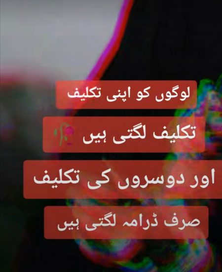 ...... Allah Hafiz 🙏......
